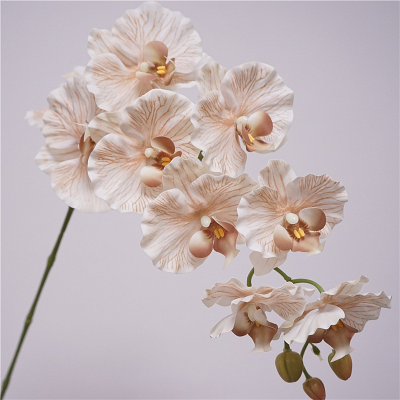 Exquisite Chinese Orchid Bouquets 9 Heads Dream Butterfly Orchid Flowers Real Touch Hydrated Orchid