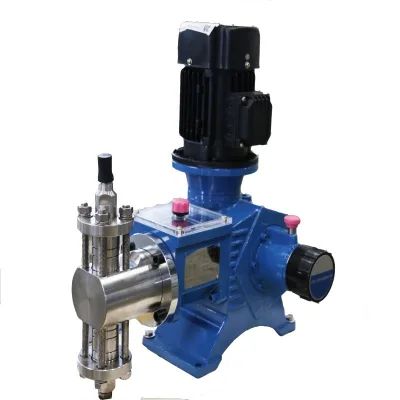 Factory Directly Stainless Steel Plunger Dosing Pump for Chemical Liquid Diaphragm Pump Structure