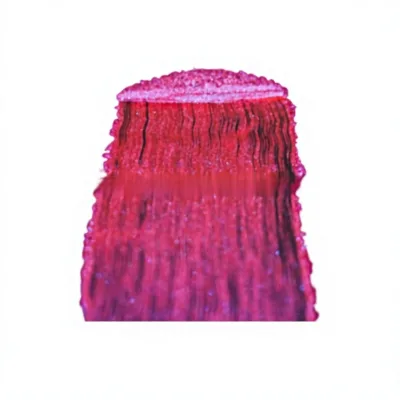 Chameleon Pearlescent Powder Model LB8633 for Coating DIY Slime Filler AB Glue & Colored Wax for Candles