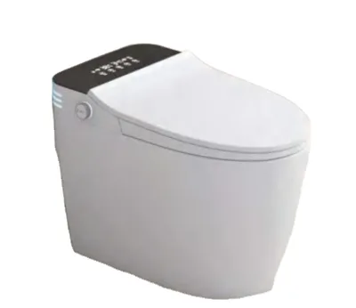 European Style Intelligent Toilet One Piece Bidet Smart Toilet for Hotel
