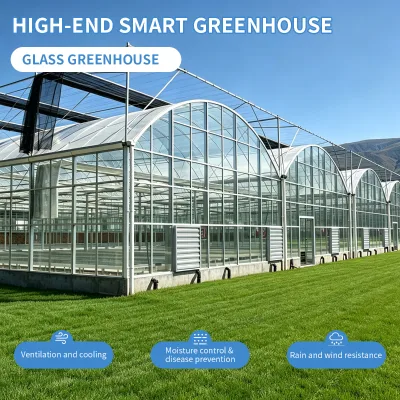 BAOLIDA Multispan Commercial Greenhouse Grow Tent Large Growing Area Glass Multi-Span Green House