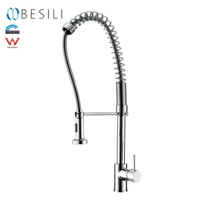 High Quality Single Kitchen Faucet Pull Sprayer Flexible Rainfall Design Classic Brass Stainless Steel Brushed Cold Water Faucet