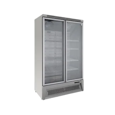 Modern Latest Custom-Made Upright Heavy-Duty Stainless Steel 2-Door Single-Temperature Commercial Shelving Display Freezer 12