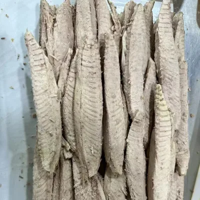 Factory Halal Bonito Tuna Flakes Fish Loin for Sale Bullet Frozen Skip Jack Fish Loin Meat Eleotridae Fish Product Loin