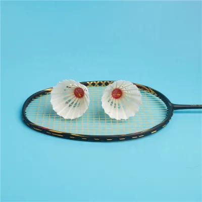 Balanced for Unwavering Control&A Budget-friendly Shuttlecock with a Premium Feel&Buy with Confidence, Play with Consistency