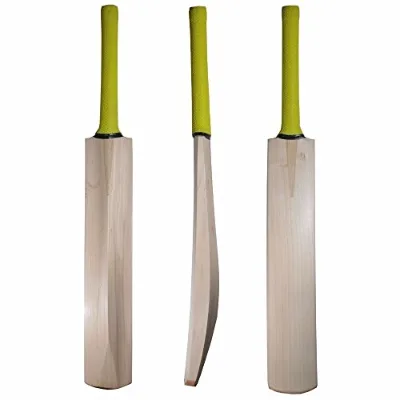 Starter Cricket Equipment for Junior Players Cricket Bat