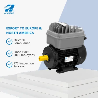 Totally Enclosed Non Ventilated Permanent Magnet Synchronous Motor Supplier in China