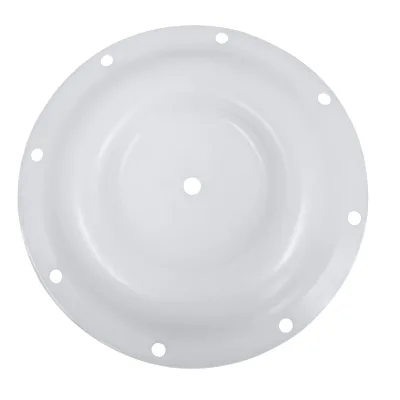 BLAGDON PTFE Diaphragm 1A071 for Factory Supplier Diaphragm Customized