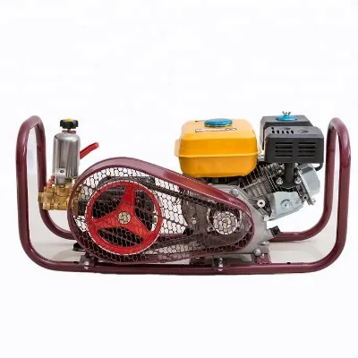 6.5hp Gasoline Engine Agricultural Power Sprayer Pump