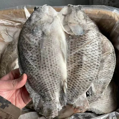 Frozen Tilapia Fillet IQF PBO Protein Rich White Fish Supermarket Retail BRC Certified Wholesale Bulk 20FCL