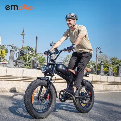 Wholesale Emoko C93 48V Brushless Rear Hub Motor Lithium Battery Fat Wheels Mountain Electric Bike