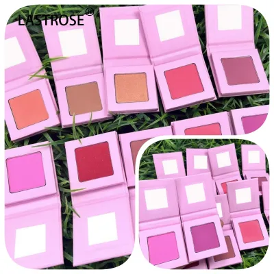 Wholesale Pink Blush Plate Powder Easy Color Lasting Color  Private Label Blush Tan Red Plate Multi Colors Blush