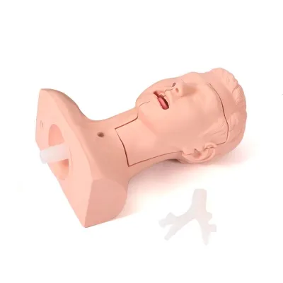 High Quality Sputum Suction Training Model Simulated Sputum Aspiration Operation Model