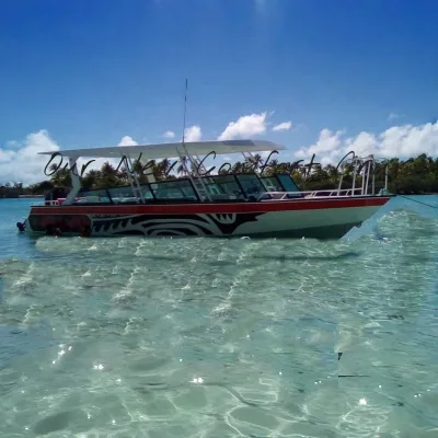 11.6m Aluminum 30persons Sightseeing Touring Boat for Sale