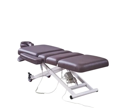 Popular Product Factory Traditional Metal Feldenkrais Bobath Table
