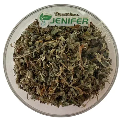 Air-Dried Catnip Leaves for Cats Bulk Cut Catnip Leaf Powder
