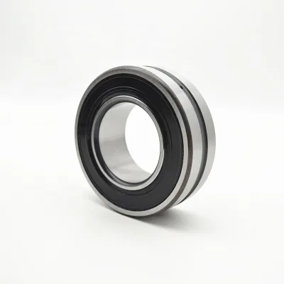 Heavy Loads Double Row sealed BS2-2205-2RS/VT143 Spherical Roller Bearing