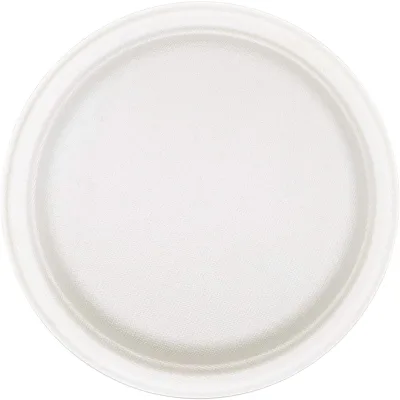 100% Natural Disposable Sugarcane Bagasse Restaurant Food Serving Plate White Sugar Cane Pulp Plate