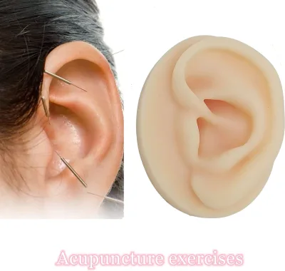 Custom Brand Ear Model Flexible Soft Silicone CE Certified Class I From China
