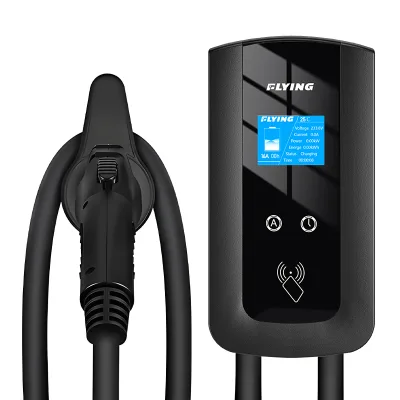 Ev Dc Charger Ev Onboard Charger Ev Emergency Charger Electric Ev Car Charger7kw 220V 32A TypeA/Type B Optional Equipment