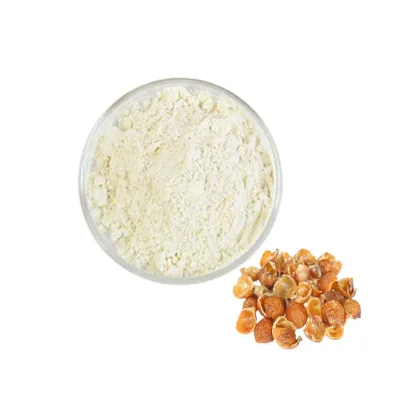 Cosmetic Grade Soap Nut Extract Saponins 70% Pure Sapindus Extract High Quality Soapnut Extract for Shampoo
