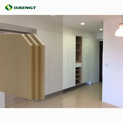 Birch Plywood Bathroom Cabinet Furniture Main Door Design for Construction for Kitchen Use