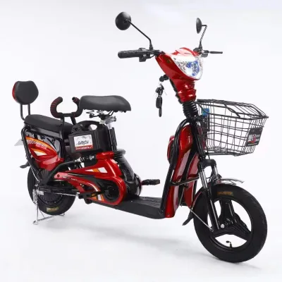 2025 New Style Electric Scooter with Removable Battery