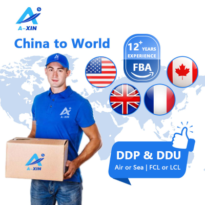 Shipper Agent Customs Broker FBA Freight Forwarder China to USA Door to Door Sea Shipping Service Price