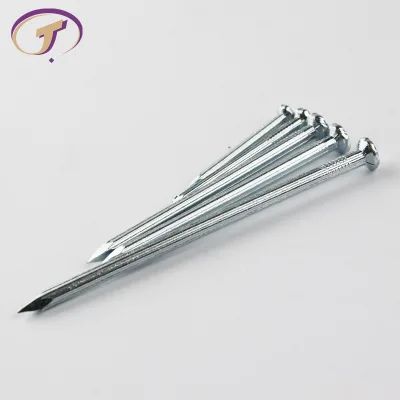 Galvanized Iron Ring Shank Round Head Bright Finish Common Nails for Wood Construction Building Framing Timber Work