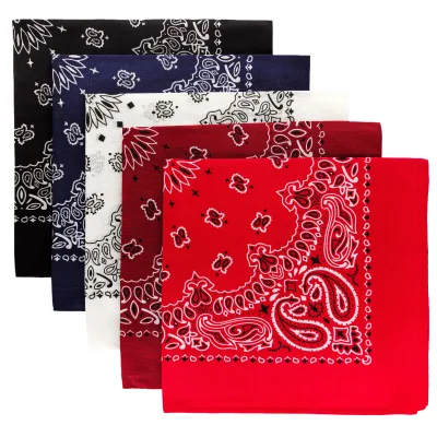 5pcs Pack 22*22inch Outdoor Rock Concert Paisley Headscarf 100% Cotton Double-Sided Colorfast Multifunction Bandanas