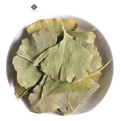 China Hot Selling Healthy Organic Fan-shaped Dried Ginkgo Leaf for Tea