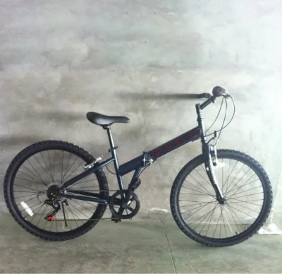 26" OEM Steel Foldable Frame 7 Speeds Folding American Boy Bike