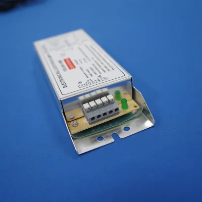 Wholesale 10W 12W 16W 25W 30W 40W 55W Ballast UV Sterilization Systems Ballast for Water Purification
