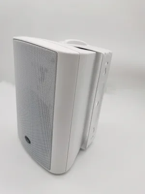 FYW-430W 30W 5 Inch Two Way Wall Mount Speaker 70V/100V ABS Cabinet PA Loudspeaker for Hotel School Office Background Music