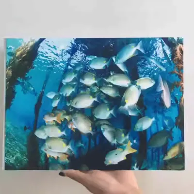 Custom Logo Custom Logo Die Cutting Scratch-Resistant Professional Acrylic Sheet for Pop Displays