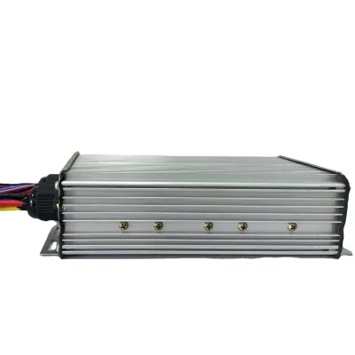 Factory Price Pmsm Controller for Custom or Standard DC Motor