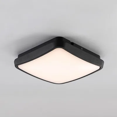 Intelligent Ceiling Light, LED Corridor Lighting, Staircase Light, Entrance Foyer