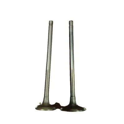 HAORUN for SUZUKI Scooter Motorcycles Engine Parts Lets4 Uz50 Gs50 32G VALVE SET Intake Valve Exhaust Valve
