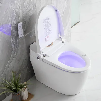 Empolo Luxury Gold Modern 110V Electronic WC Automatic Open Intelligent Closestool Smart Toilet High Quality Floor Mounted for