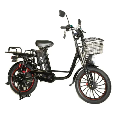 DISIYUAN 500W Pedal-Assisted Road Electric Bicycle Electric Scooter Moped with Pedal Other Electric Bike