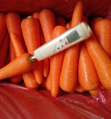 2025 New Crop Carrot M in 10KG Carton with Good Price Hot Selling Carrot