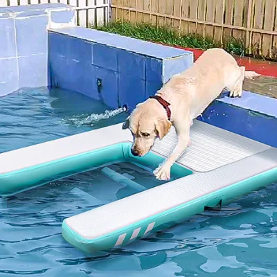 Large Water Ramp Dog Inflatable Pup Plank Dog Dock Pool Floating Boat With Ladder