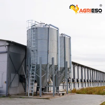 Agrieso 20 Ton Galvanized Steel Grain Silo Remote Monitoring 1 Year Warranty for Poultry Farm Use Construction Grain Corn