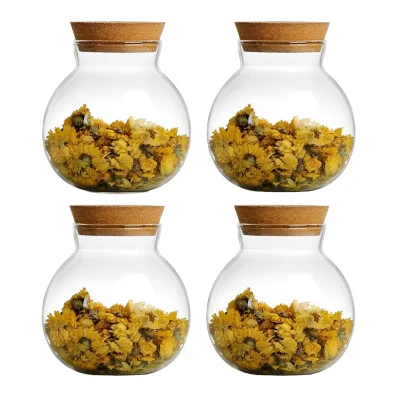 Wholesale Handmade Borosilicate Glass Storage Jar with Cork Lid Round Shape Kitchen & Camping Use Insulated Leak-Proof