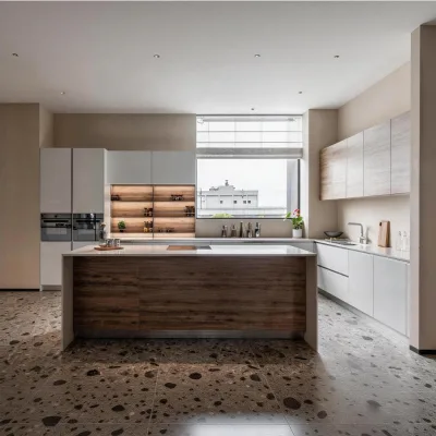 Modern Shaker Birch Cabinet Kitchens Multi-layer Plywood Solid Wood Doors Eco-Friendly Storage Customized Furniture OEM ODM