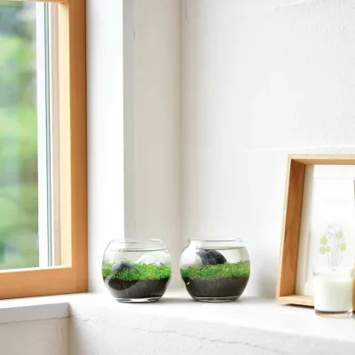 Top Terrarium Water Garden Kit for Nature Lovers Glass Plant Aquariums & Accessories Set Water Plants Gift for Birthday Gift