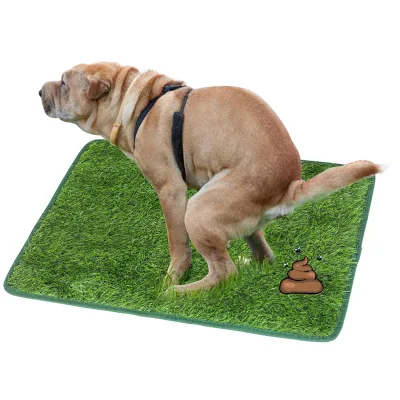 Dog Toilet with Dog Lawn Teddy Little Dog Toilet with Lawn Mat
