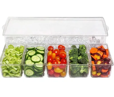 Kitchen Acrylic Ice Chilled 5 Compartment Condiment Server Caddy