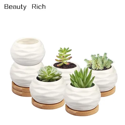 Inch Ceramic Succulent Planter Pots with Bamboo Tray,