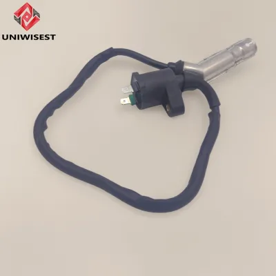 Original Standard Waterproof Design Long Service Life Arc Ignition Input Wholesale Supply Industrial High-voltage Pack